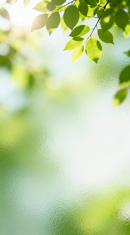 春日嫩叶阳光景象