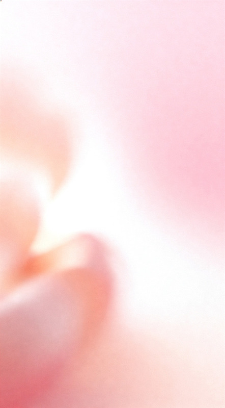 粉色梦幻花朵特写