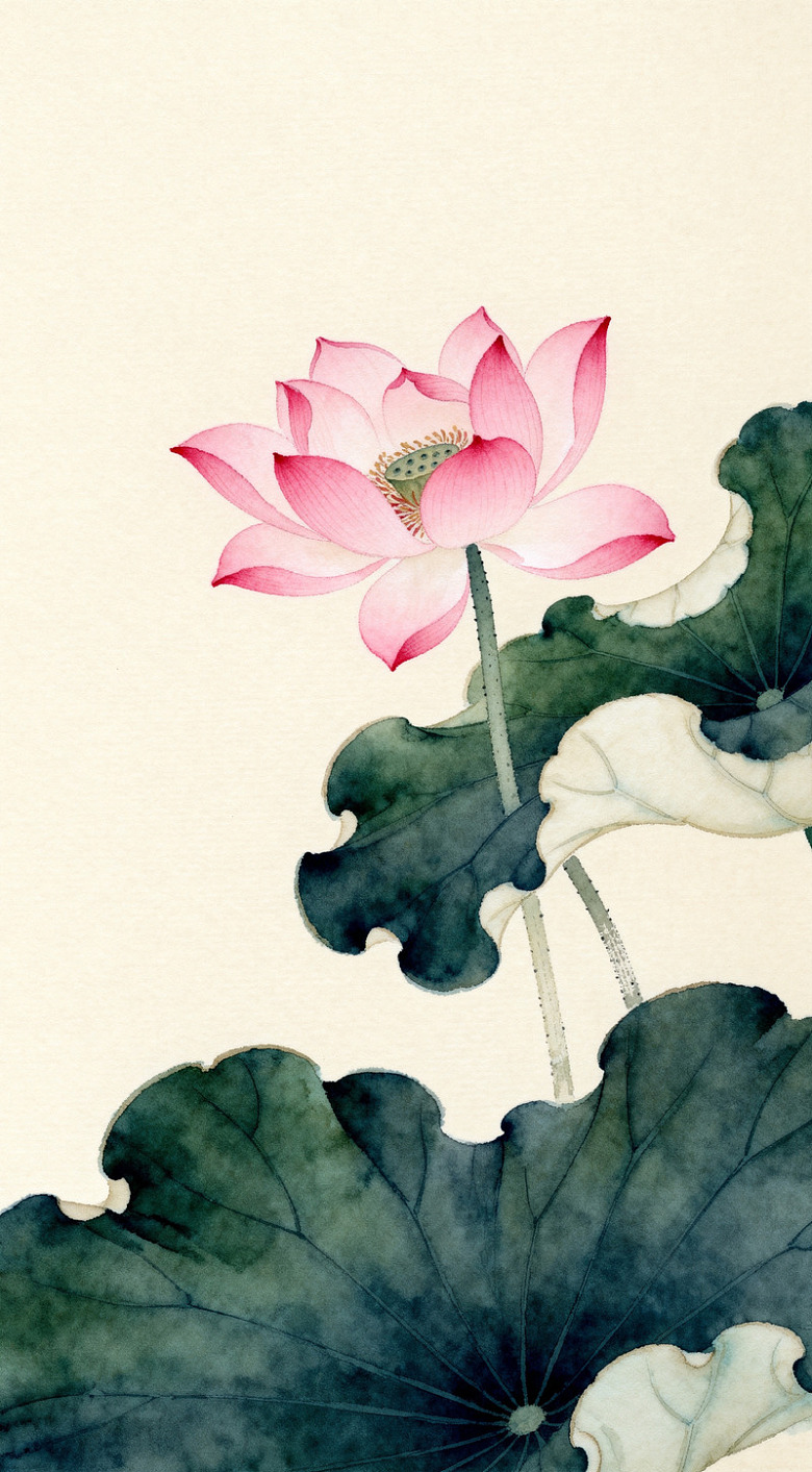 水墨荷花中国画艺术画作