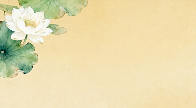 水墨荷花淡雅背景