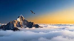 高山云海飞鸟风光