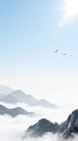 云海飞鸟山水画