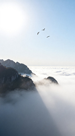 云海飞鸟山水风光