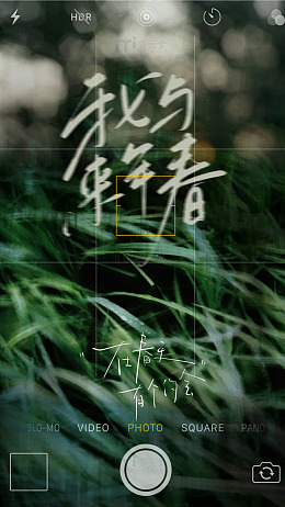 我与春天海报