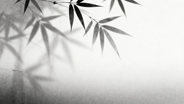 黑白竹叶剪影艺术