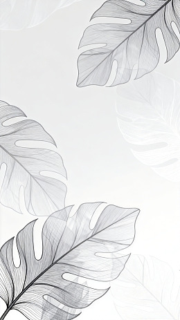 简约叶子线条艺术壁纸