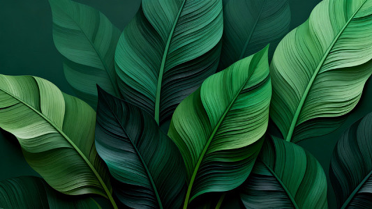 绿色植物叶片背景设计素材