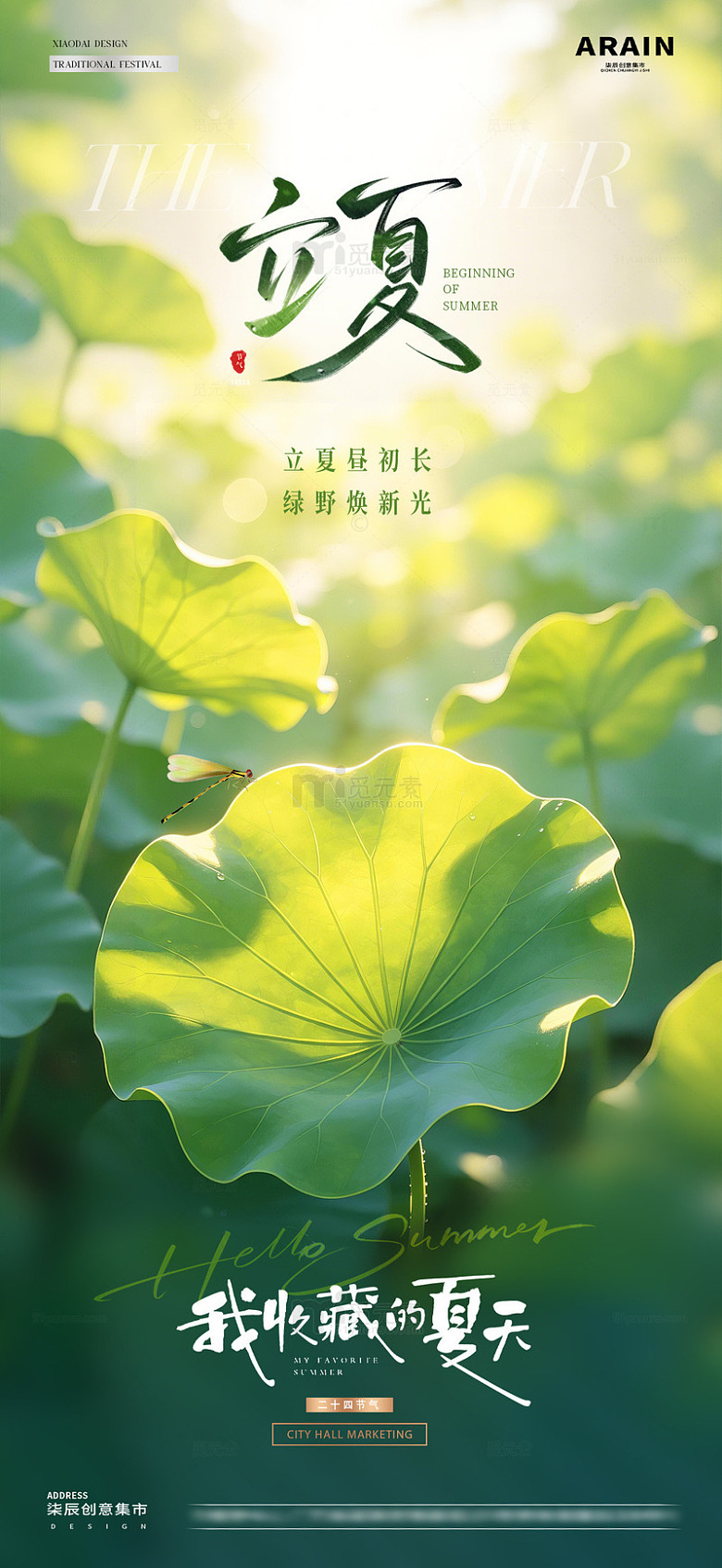 地产立夏小暑荷叶风景海报1