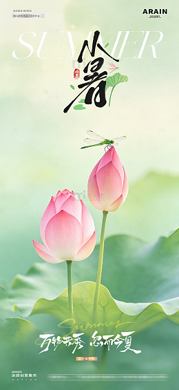 地产立夏小暑荷花蜻蜓风景海报1