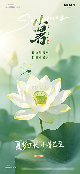 立夏小暑荷花风景海报1