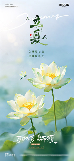 立夏小暑荷花风景海报2