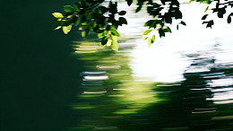 绿意水影自然风景