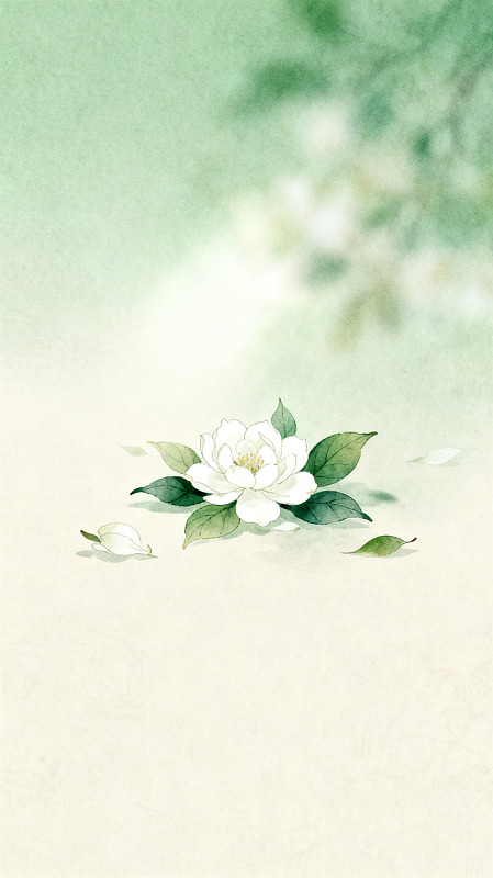 水墨画风格茉莉花手绘插画