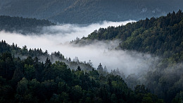 山间云雾缭绕美景