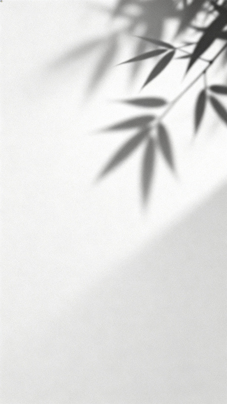 黑白竹叶影子艺术