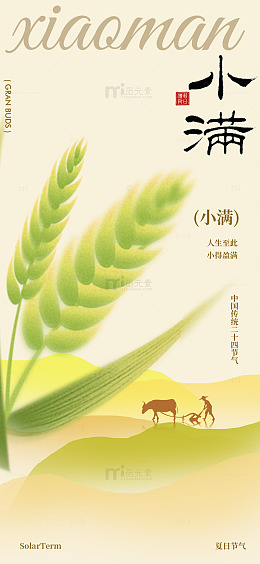 小满节气田园风光海报设计