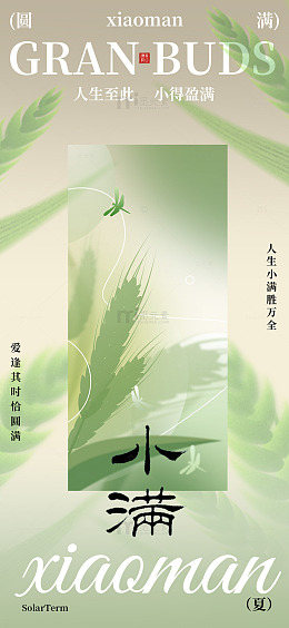 淡雅小满节气宣传海报设计素材