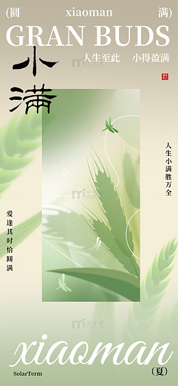 淡雅小满节气海报设计素材