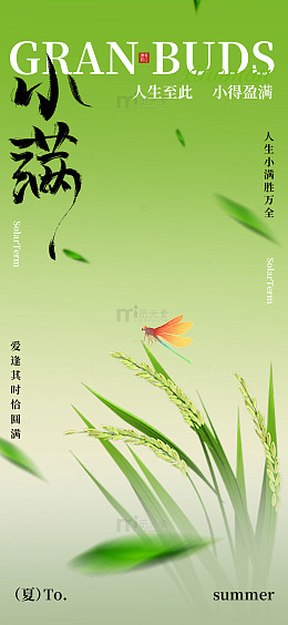 绿色稻穗小满节气海报设计