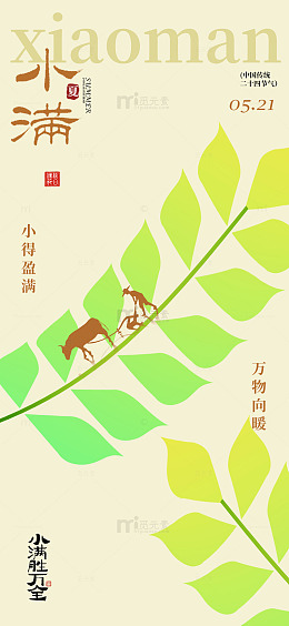 小满节气插画海报设计亮点