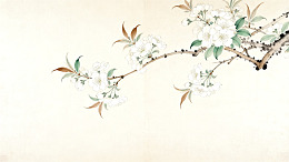 工笔梨花水墨画