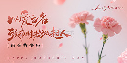 粉色康乃馨主题温馨主KV背景