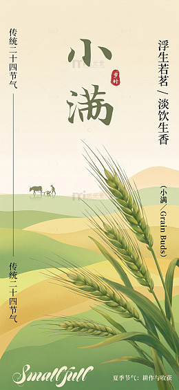 小满节气插画海报设计