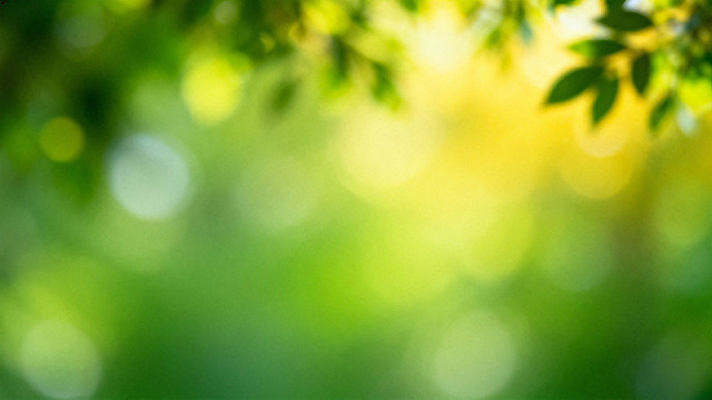 模糊绿意阳光自然风景