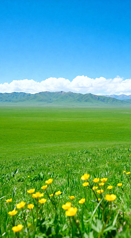 草原风光山水自然美景