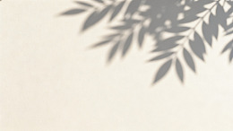 简约树叶影子壁纸