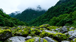 云雾山林岩石景观