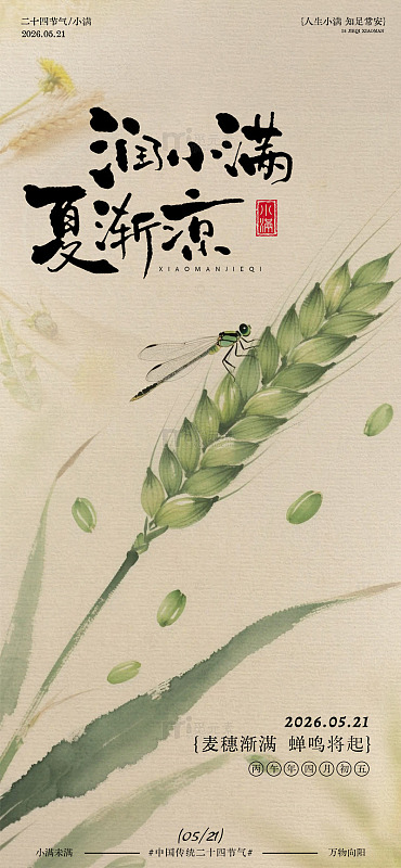 水墨风小满节气麦穗海报