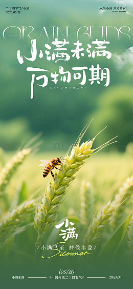 田园风小满节气海报设计素材
