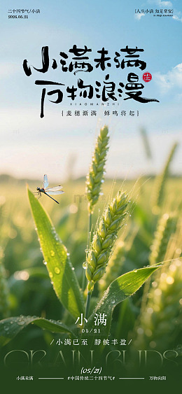 小满时节麦田风光摄影海报