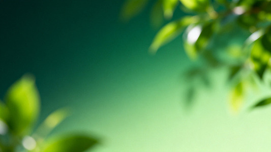 模糊绿叶背景自然风光