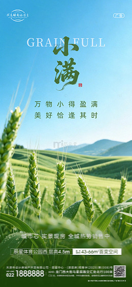 小满节气海报
