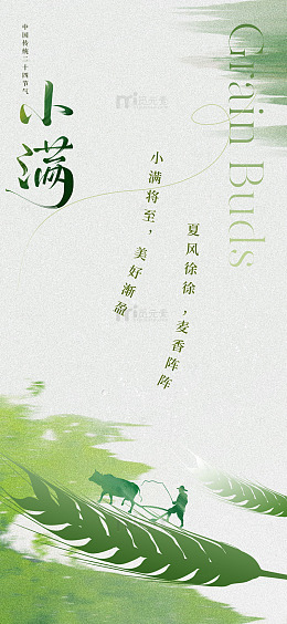 水墨风小满节气农田插画