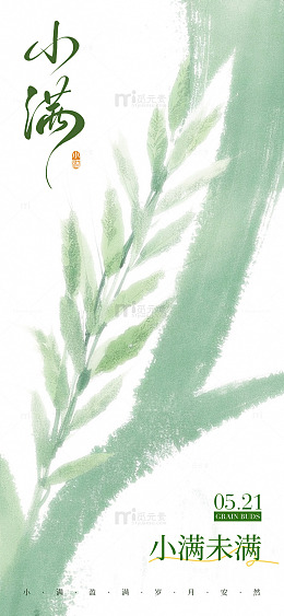 水墨风小满节气植物插画设计素材