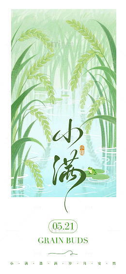 水墨风小满节气稻田插画