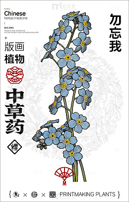 中国风植物插画勿忘我设计素材
