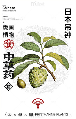 版画风格日本吊钟植物插画