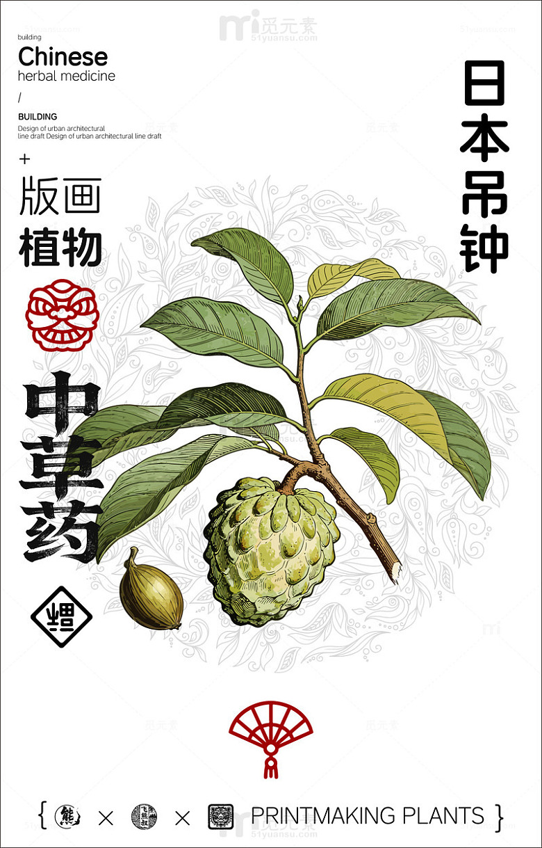 版画风格日本吊钟植物插画