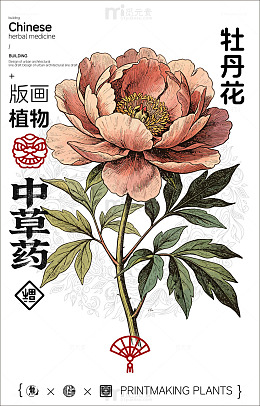 版画风格牡丹花植物图设计素材