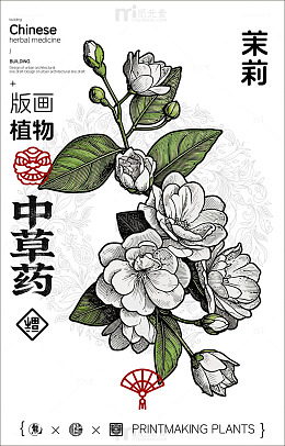 版画风格茉莉花中草药宣传海报