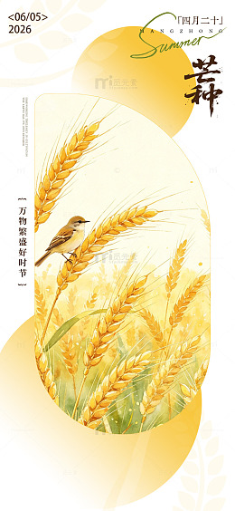 稻田小鸟节气插画