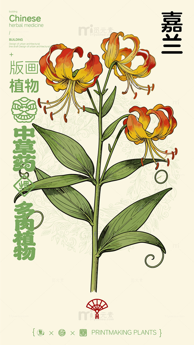 嘉兰中药植物版画设计