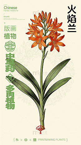 版画风格火焰兰中药插画素材