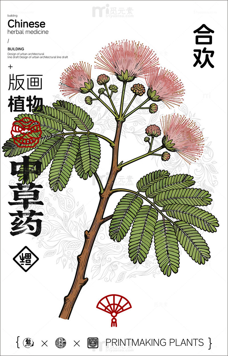 版画风格合欢花中草药设计素材