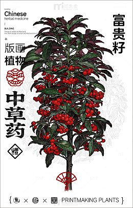 版画风格富贵籽中草药海报设计素材