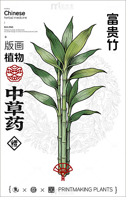 中国风富贵竹植物插画海报